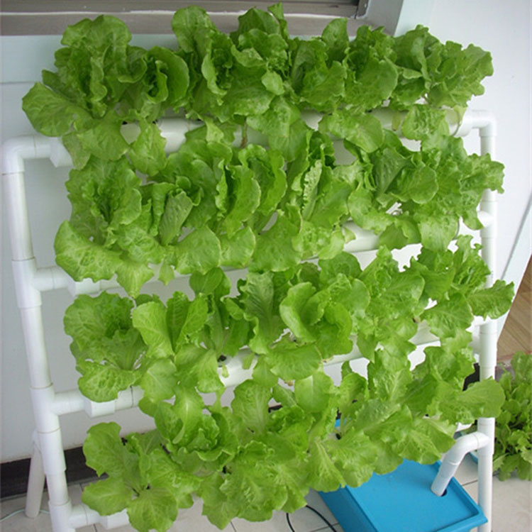 Vertical Hydroponic Growing System / PVC Pipe Hydroponic Garden System