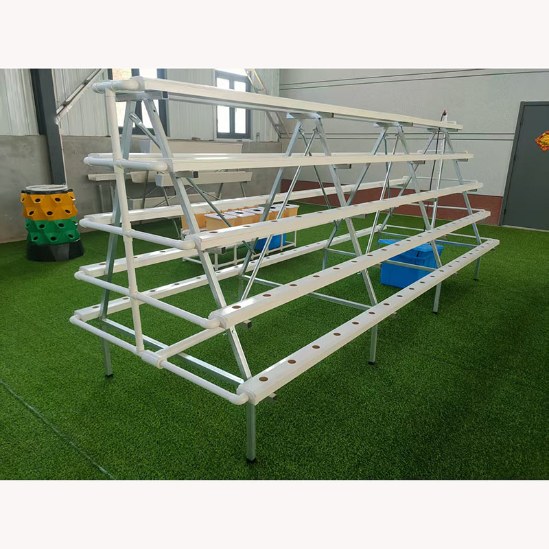 2026 NEW Complete Hydroponic Leafy Greens Cultivation System Solution for ANGD Hydroponics