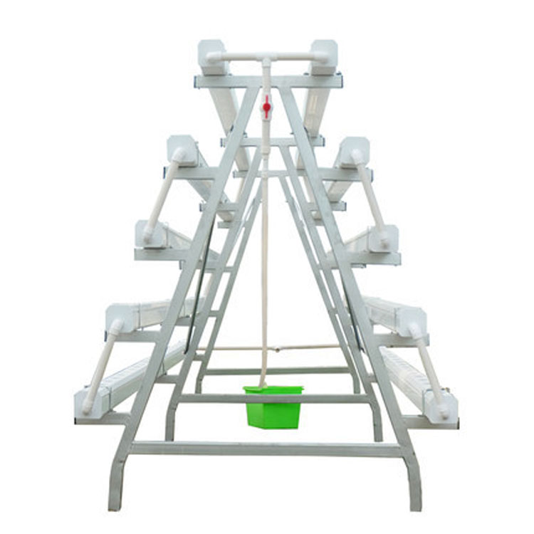 Complete hydroponic vegetable cultivation system
