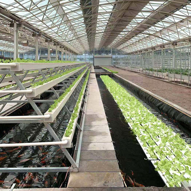 Multi tiered hydroponic planting rack Zhengzhou angde machinery equipment co.,ltd
