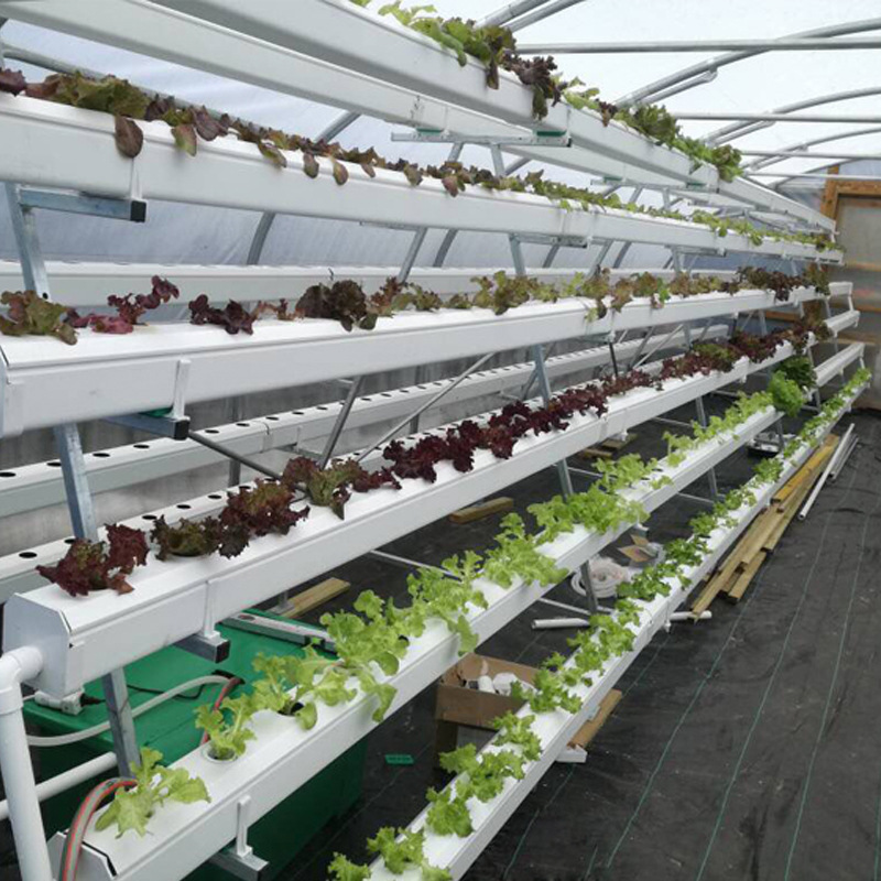 ANGD factory direct sales greenhouse three-dimensional hydroponic planting equipment