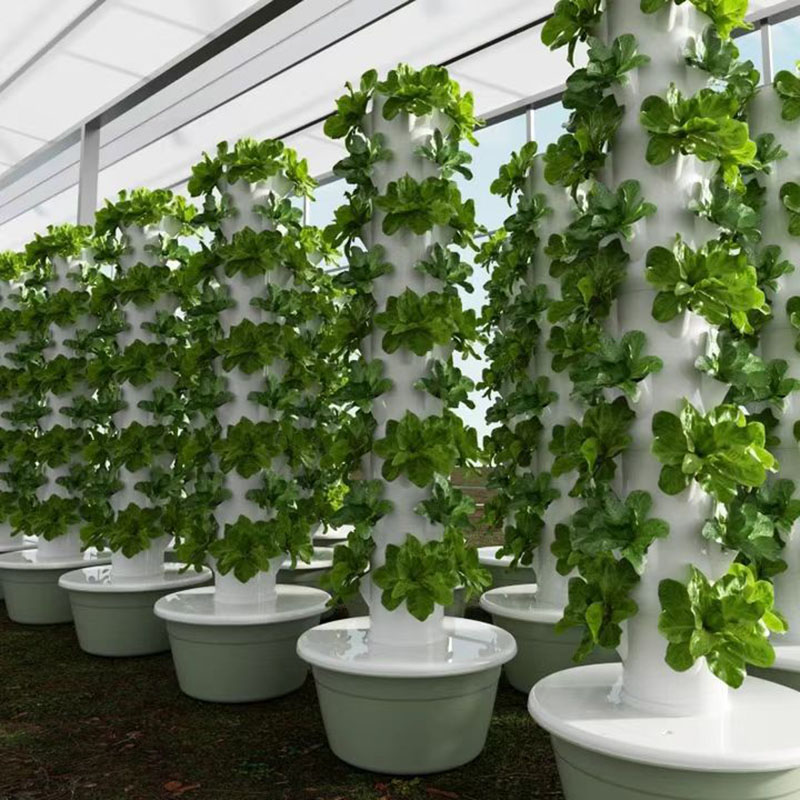 Angd Soilless Vertical Hydroponic Grow Kit