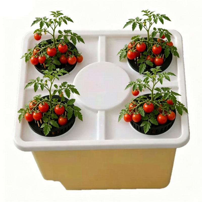 Dutch Bucket Hydroponic Growing System