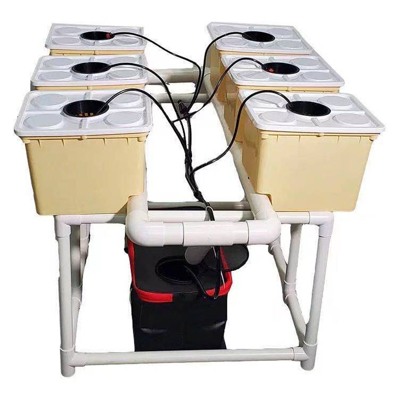 Hydroponic Dutch Bucket for Tomato Plants