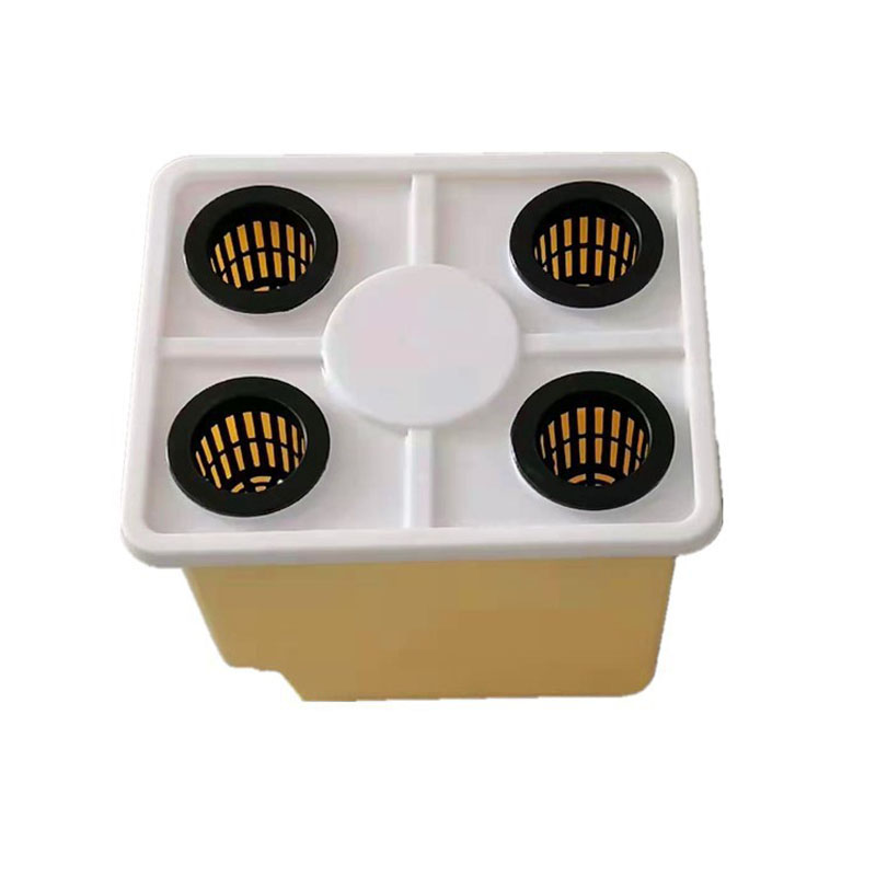 Dutch Bucket for Cucumber and Pepper Plants