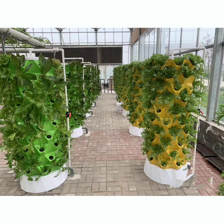 Hydroponic Pineapple Tower System