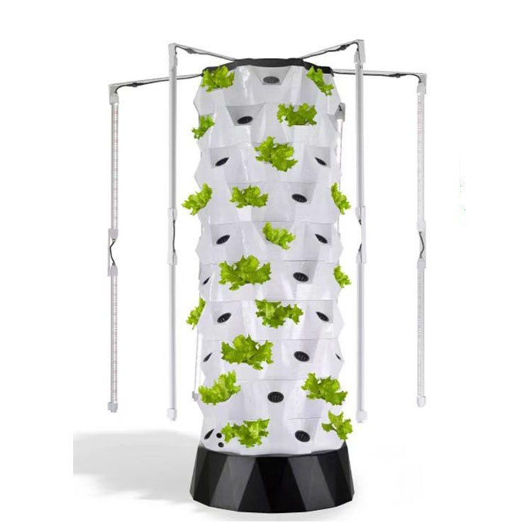 Vertical NFT Hydroponic Pineapple Tower