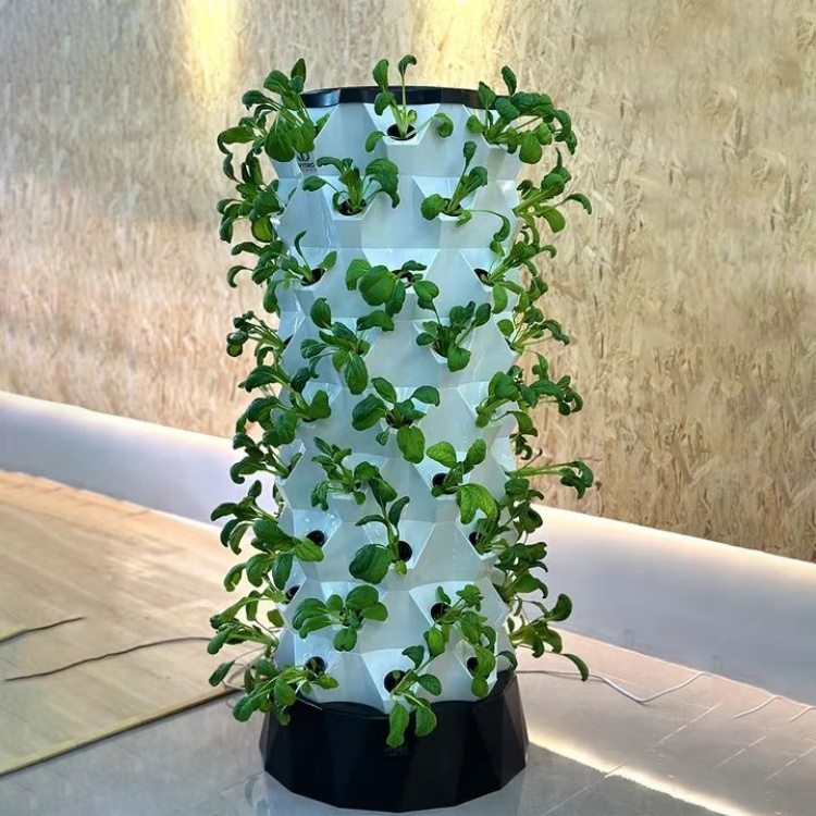 Water-Saving Hydroponic Pineapple Grow Tower