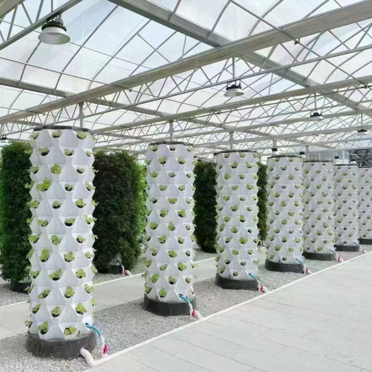 Modular Hydroponic Pineapple Tower System