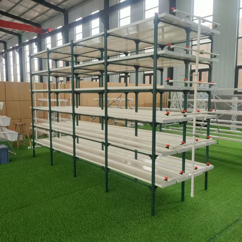 Hydroponic Fodder Grow Rack for Livestock Barley Sprouts