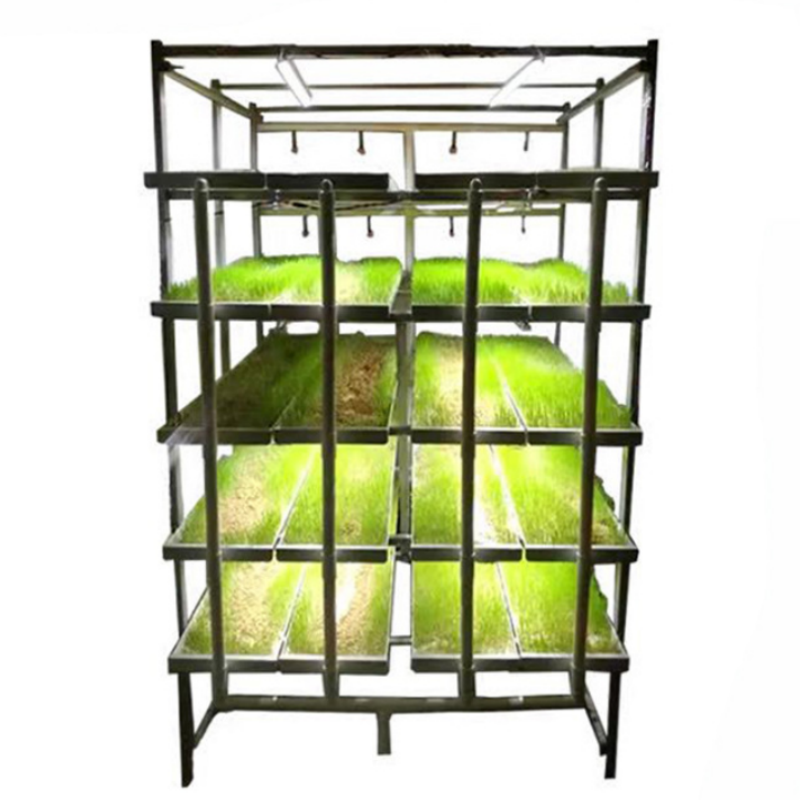7-Day Fast Sprout Hydroponic Fodder Rack for Farm
