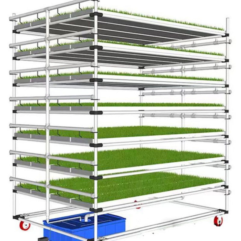 No Soil Hydroponic Fodder Sprouting Rack for Animals