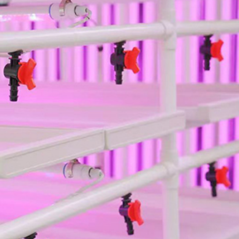 Automatic Watering Hydroponic Fodder System for Farms