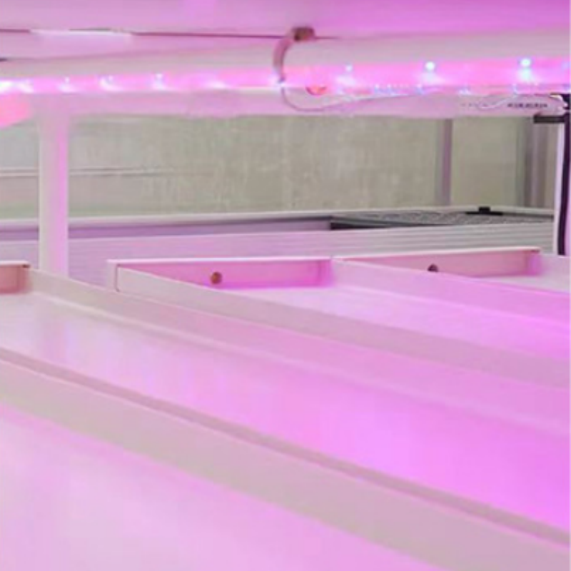 Compact Hydroponic Fodder Grow Rack for Small Livestock Farms