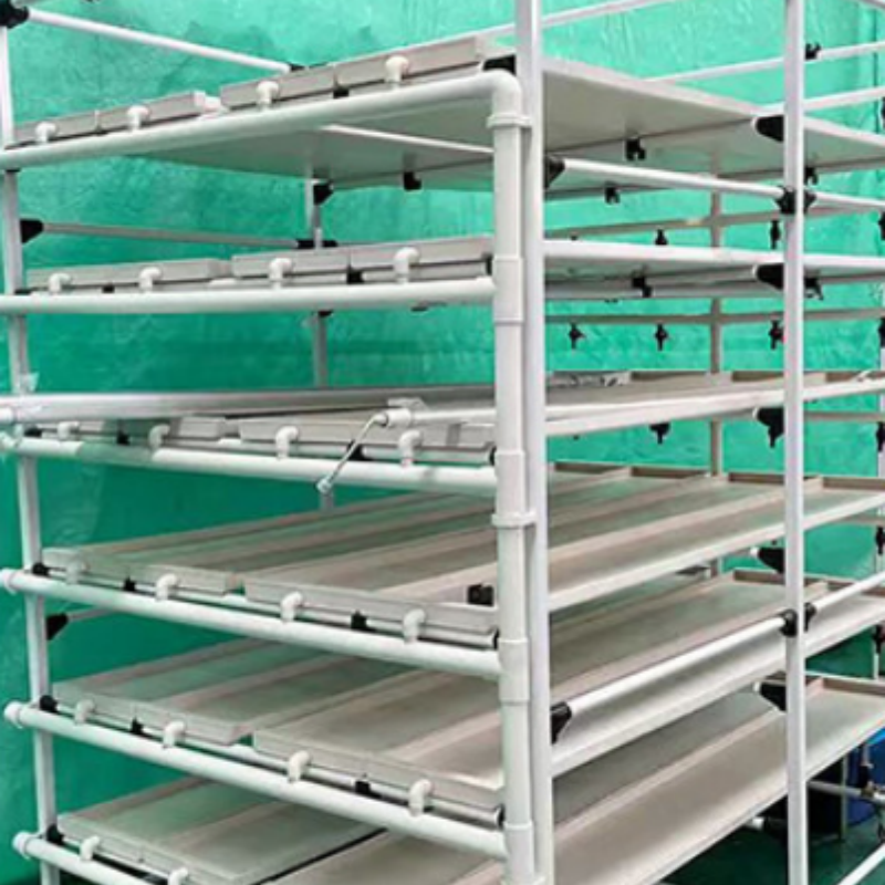 Fresh Barley Sprout Hydroponic Fodder Growing System