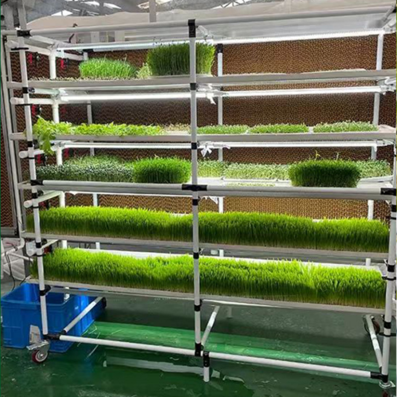 Hydroponic Fodder Rack with LED Light, 10-84kg Daily Output