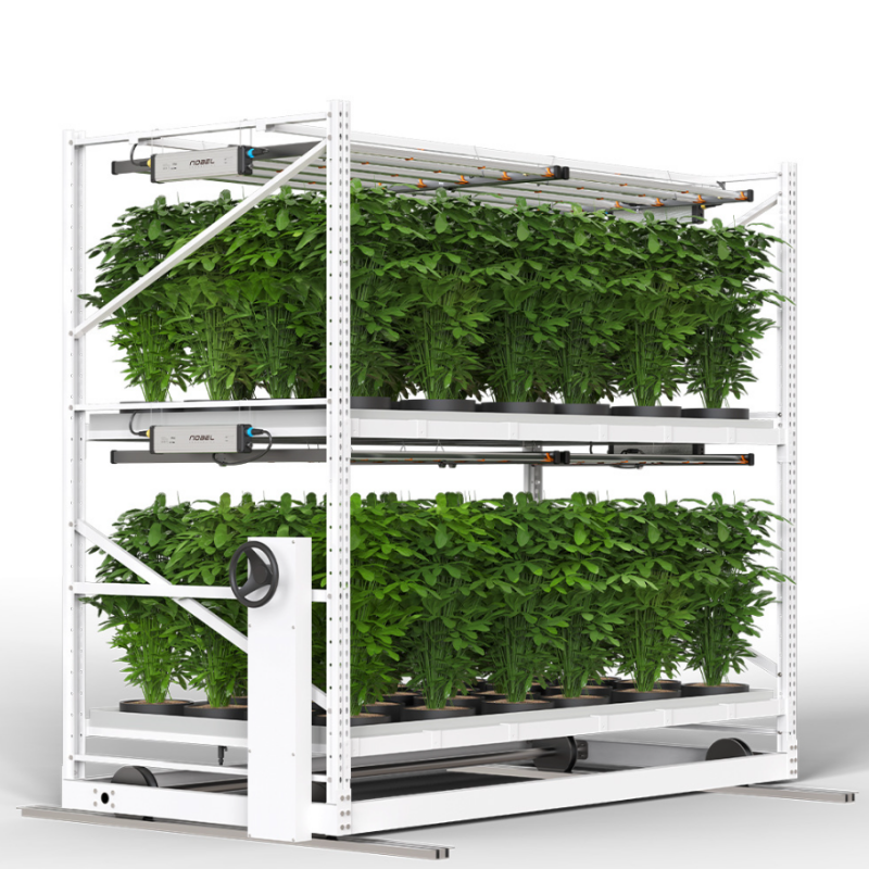 Commercial Rolling Seedling Bench for Plant Nursery