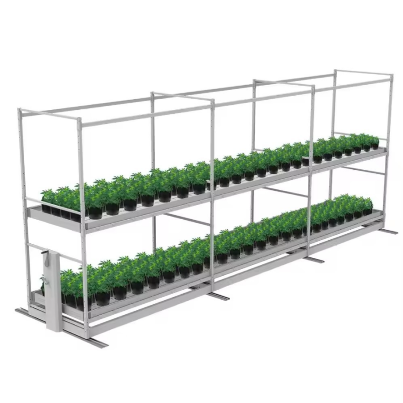 Multi-Tier Rolling Grow Rack for Seedling Cultivation