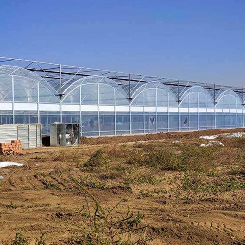 Multi-Tunnel Greenhouse
