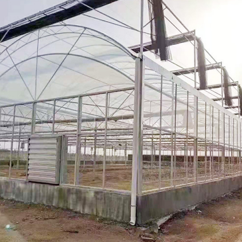 Plastic Film Greenhouse