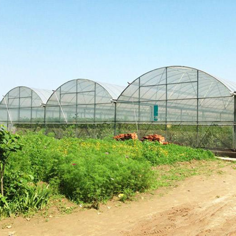 Greenhouse 6x12m Gothic Plastic Film Tunnel Single Span Serre Agricole for Agricultural Use Made of PE Material