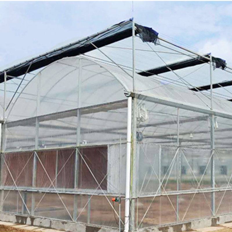 Greenhouse Tunnel for Growing Vegetables Greenhouses