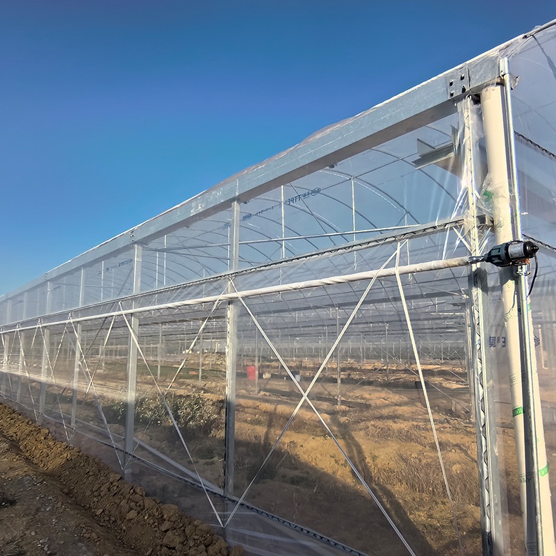 Agriculture Tunnel Seed Greenhouse