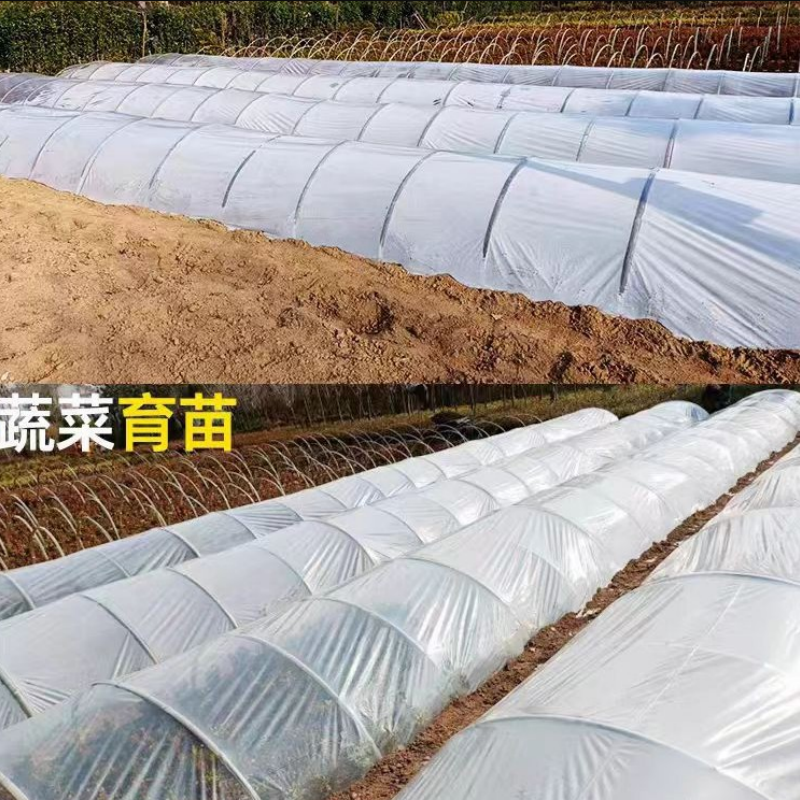  Polly Tunnel Greenhouse Agriculture Garden Tunnels for Flower Plants