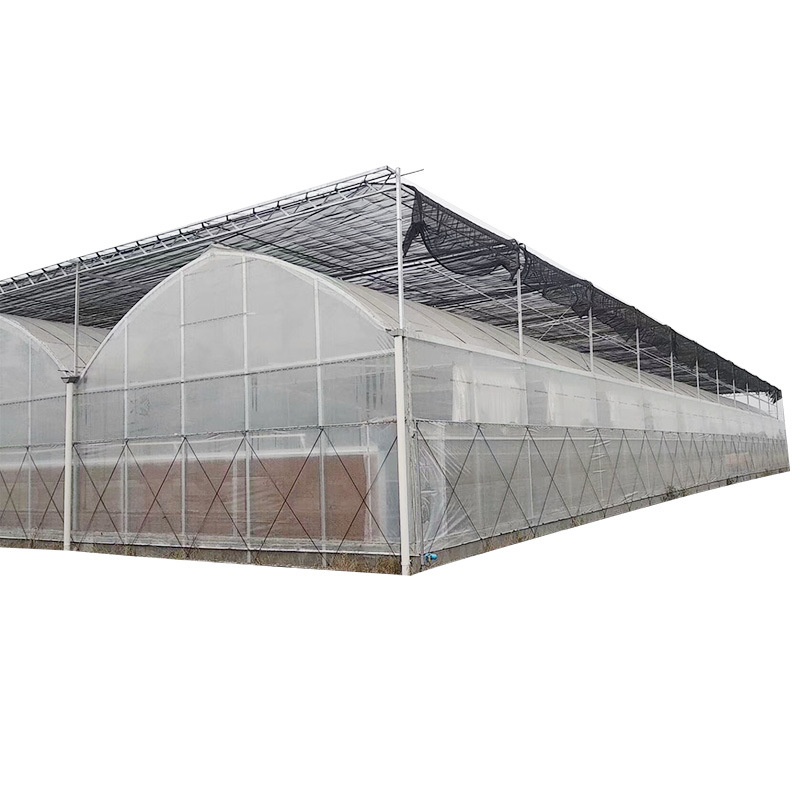 Hydroponic Agricultural Greenhouse Multi-Span Steel Tunnel Durable Frame White Climate Control for Vegetable Seeds