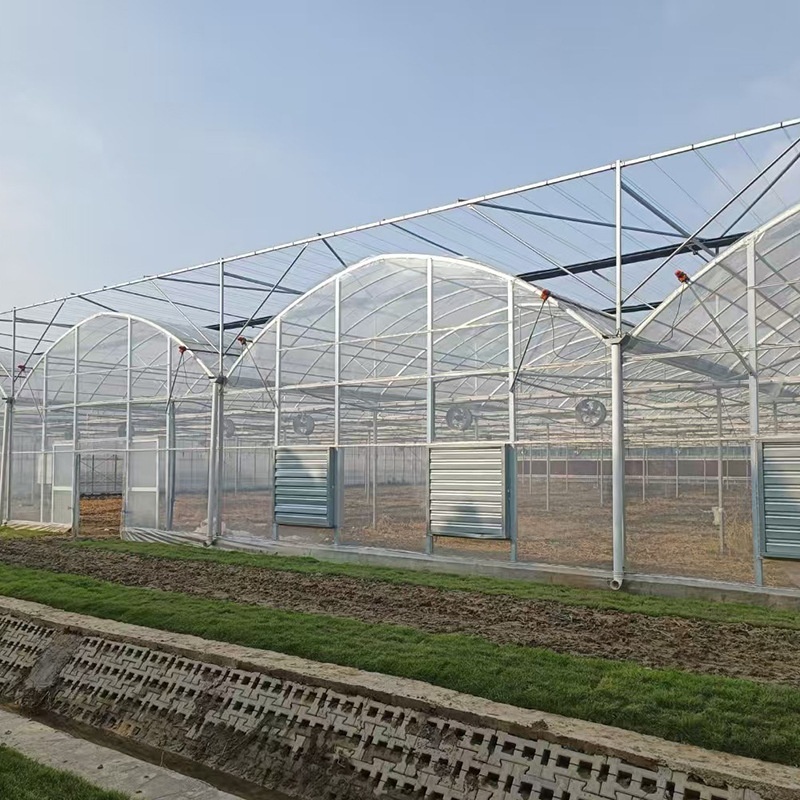 Tomato Tunnel Plastic Film Greenhouse for Vegetable