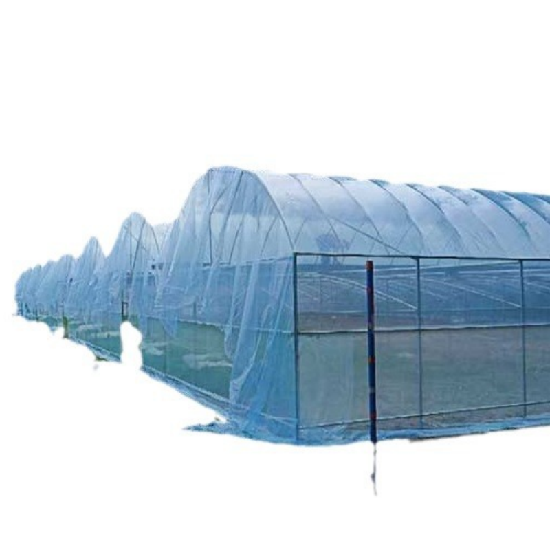 Greenhouse Single-span Tunnel Greenhouse Used for Agriculture Tomato Strawberry
