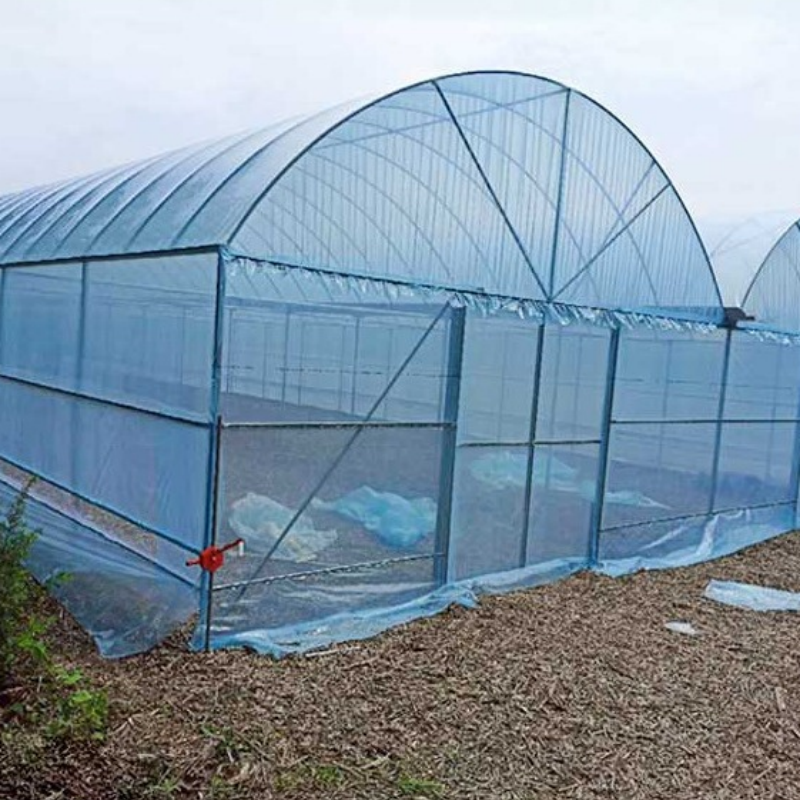 PE Film Tunnel Greenhouse 4m X 3m for Garden Hoop Use Sp-garden Model Sides Ventilation for Seedlings