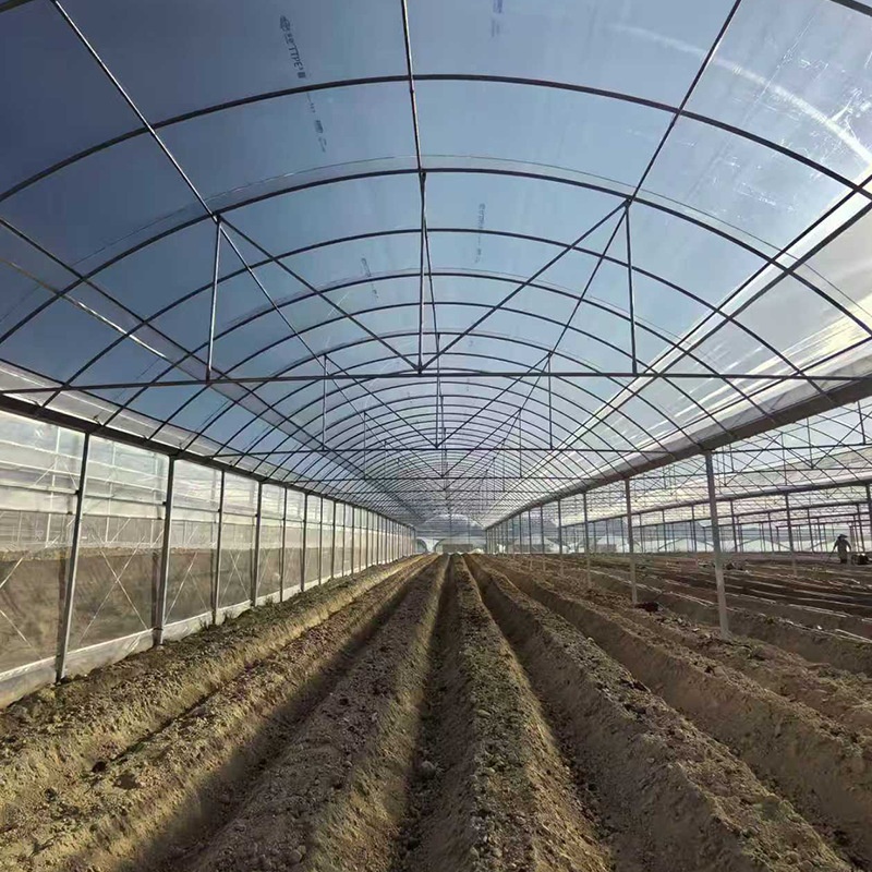  Tube Row-by-row Connected Greenhouse