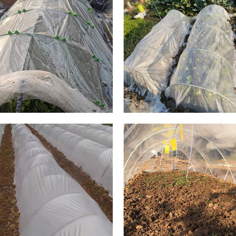 Industrial Greenhouse Single Span Film Plastic Tunnel