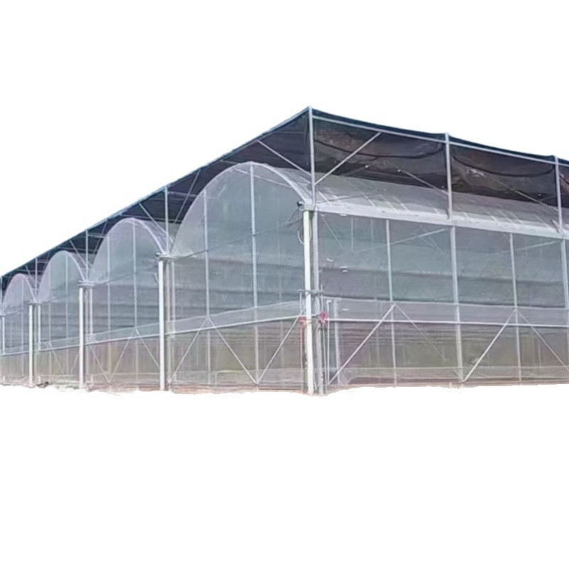 Muti Span Plastic Film Tunnel Strawberry Greenhouse Tomato Agricultural