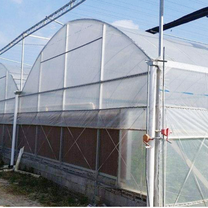 8*30m Cheap Greenhouse Single-span Tunnel Greenhouse Used for Agriculture Tomato Strawberry